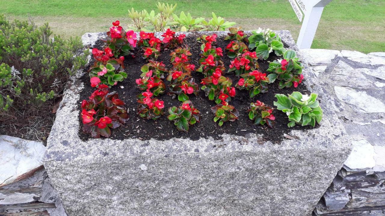 Melorne Farm Bed and Breakfast Camelford Buitenkant foto