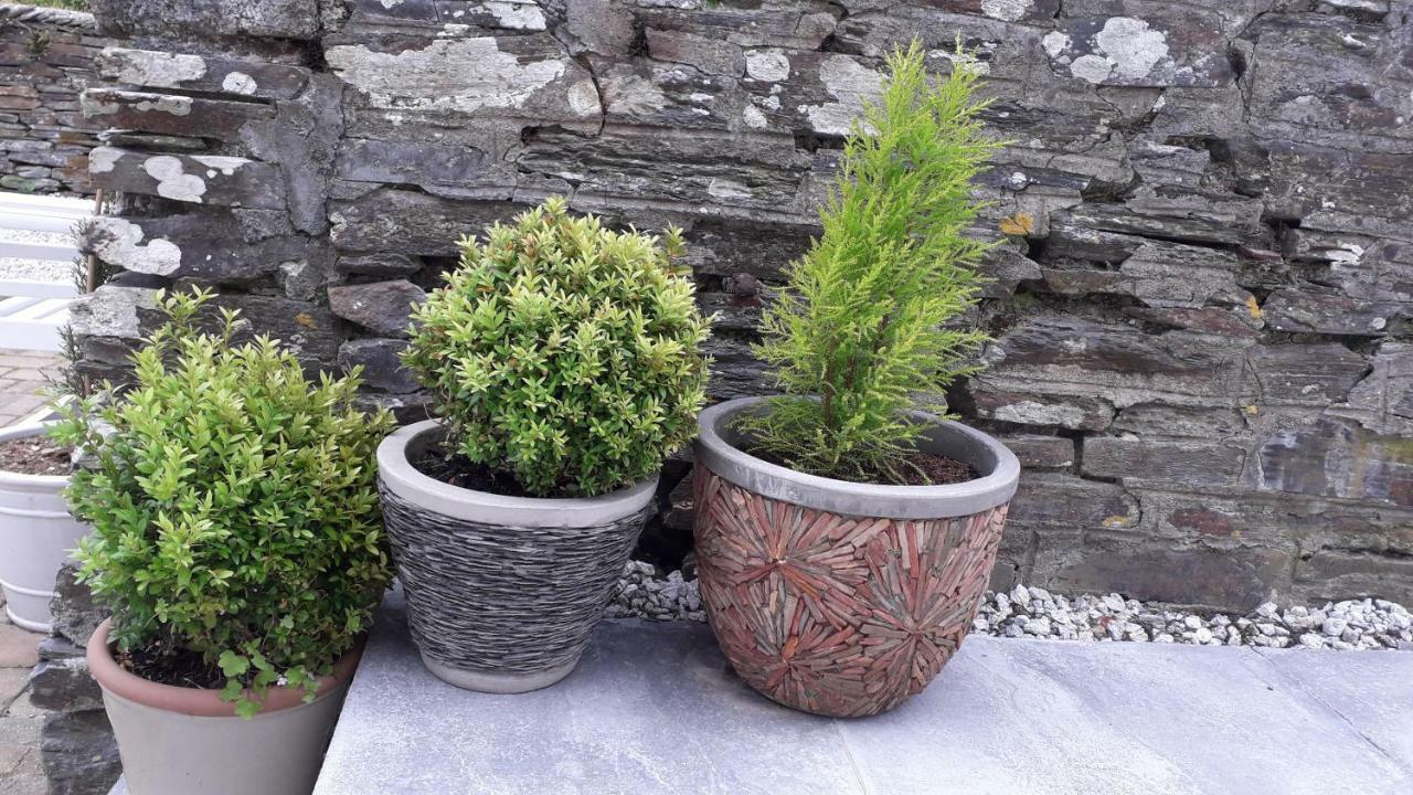 Melorne Farm Bed and Breakfast Camelford Buitenkant foto